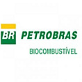 Petrobras Biocombustvel